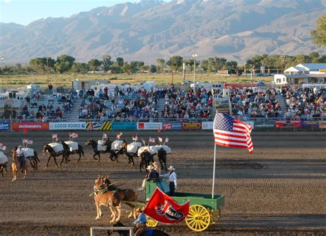 History Of Bishop Mule Days American Mule Museum