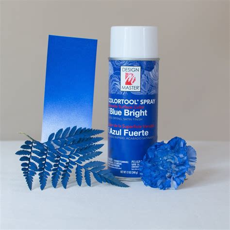 Bright Blue Design Master Floral Spray Paint Flower Moxie Diy