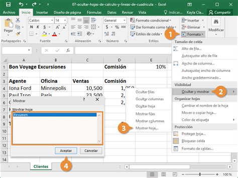 Ocultar Hojas De C Lculo Y Cuadr Culas Customguide