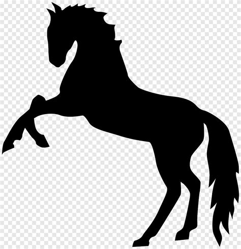 Mustang Stallion Standing Horse Silhouette Mammal Vertebrate Png