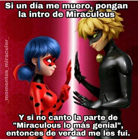 Pin De Agustina Ramallo En Imágenes De Miraculous Ladybug Memes De