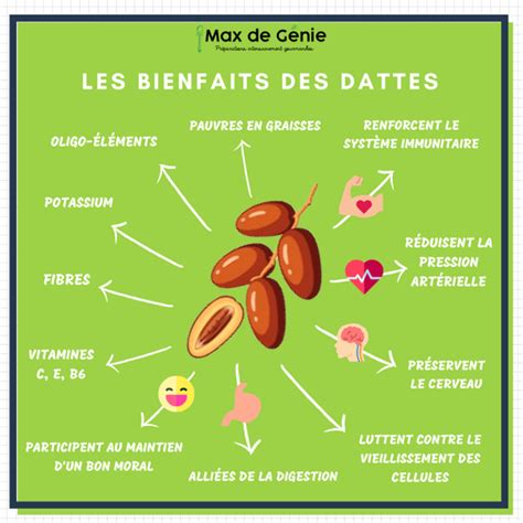 Tout Savoir Sur Les Bienfaits Des Dattes Max De G Nie