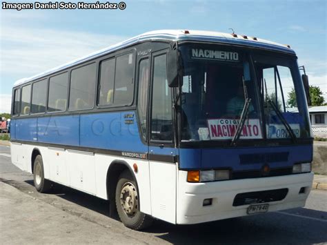 A Todo Bus Chile La Biblioteca Busóloga de Chile