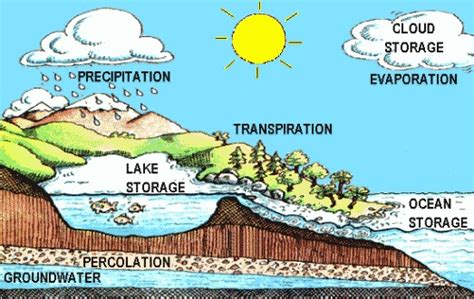 Earths Biosphere Diagram