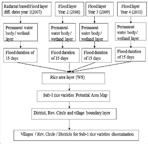 Cooking Rice Flowchart