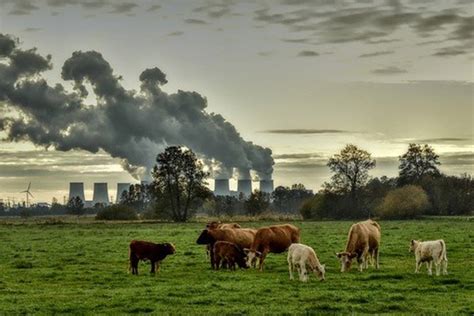 Así Se Refleja El Cambio Climático En Diferentes Ecosistemas De La Tierra