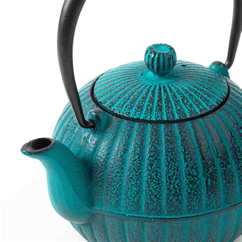 Japanese Aster Sky Blue Nanbu Cast Iron Teapot – omakase