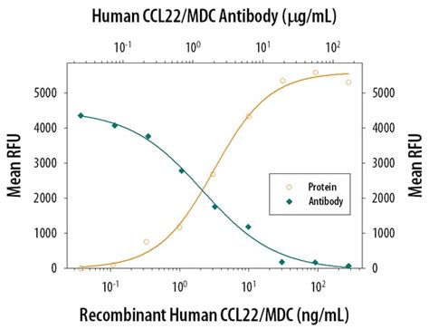 Ccl Mdc Mouse Anti Human Clone R D Systems G