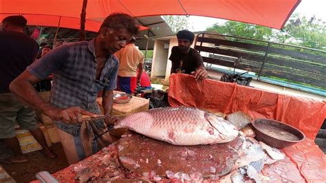 Very Nice Sri Lankan Catla Fish Cutting Skills Best Fish Cutting