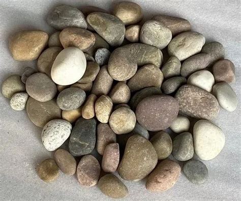 River Pebble At Best Price In India