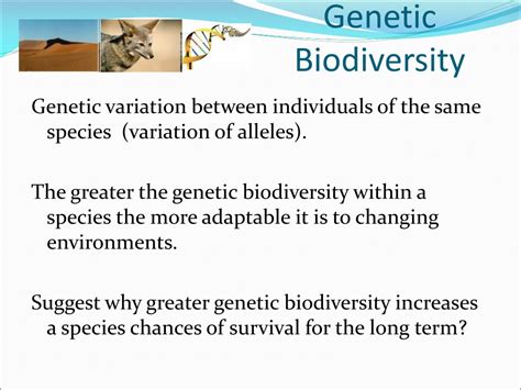 Ppt Biodiversity Powerpoint Presentation Free Download Id9684753