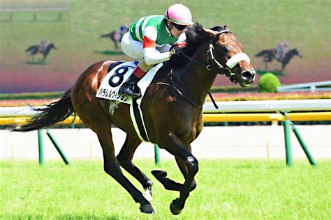 【神戸新聞杯展望】菊花賞〝最大の惑星〟候補が登場 春のクラシック組と真っ向勝負 競馬ニュース・特集なら東スポ競馬