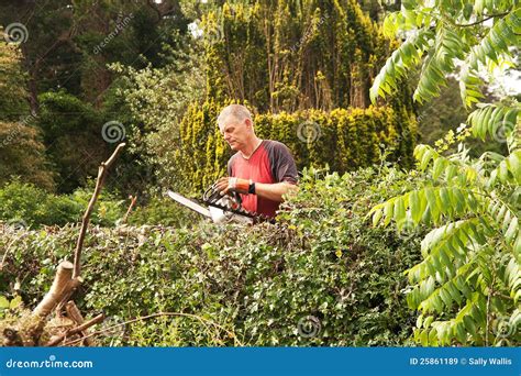 Homem Que Verific A Serra De Cadeia Imagem De Stock Imagem De