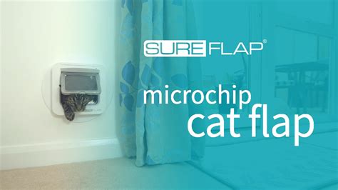 How To Tell If Your Sureflap Microchip Cat Flap Batteries Are Low Youtube