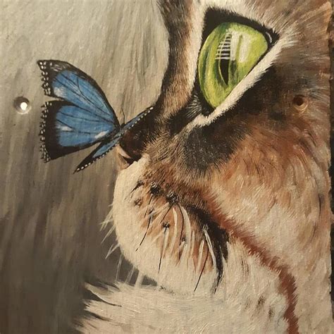 Butterfly On Cats Nose Painting By Lisa Sandberg Pixels