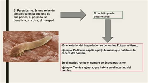 Ecologia Parasitaria Pptx