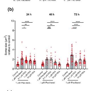 Effects Of Different Concentrations Of Paclitaxel On Viability Of