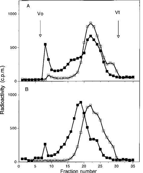 Sepharose Cl 6b Gel Chromatography Of Medium And Cell Fractions From Download Scientific