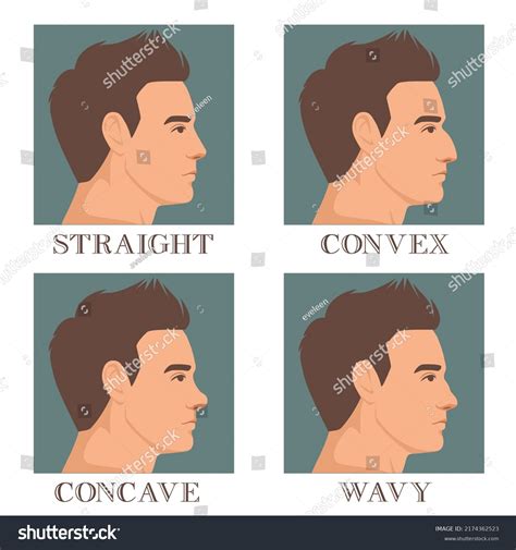 Concave Vs Convex Face