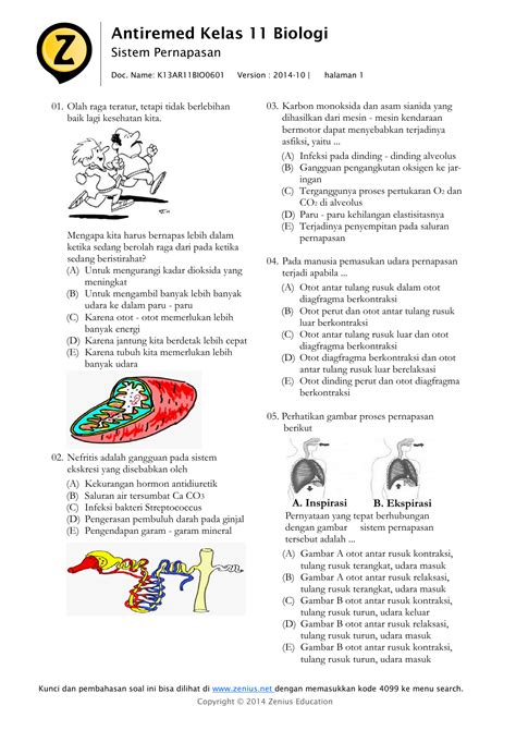 Soal Biologi Tentang Sistem Pernapasan Kelas Read Master