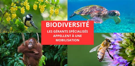 Biodiversité les gérants spécialisés appellent à une mobilisation