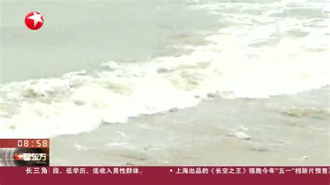 新闻日历 今年第1号台风“珊瑚”生成手机新浪网