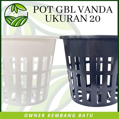 Jual Pot Gbl Anggrek Vanda Pot Anggrek Besar Tanaman Anggrek