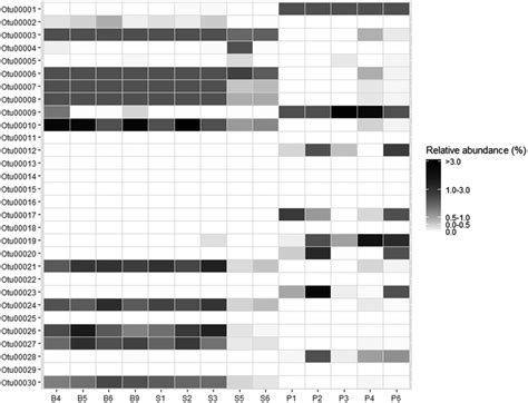 Heat Map Displaying The Relative Abundance Of Dominant Otus B B