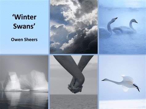 ‘Winter Swans’ by Owen Sheers: Analysis | SchoolWorkHelper