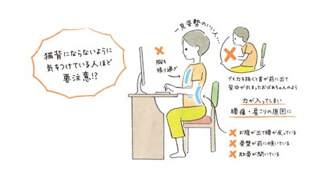 反り腰改善におすすめのストレッチ！腰痛・ぽっこりお腹を解消しよう｜楽しむ・学ぶ｜養命酒製造株式会社