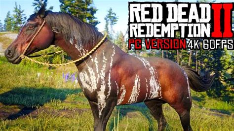 Rdr2 Red Arabian And Warped Brindle Arabian Horses Location Heres