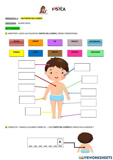 Actividad Interactiva De El Cuerpo Humano Para Puedes Hacer Los