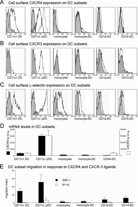 Potent Activity Of The Constitutive Chemokine Sdf Cxcl And High