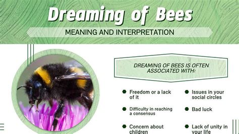 Unveiling The Spiritual Meaning Of Bees In Dreams Decode The Mysteries