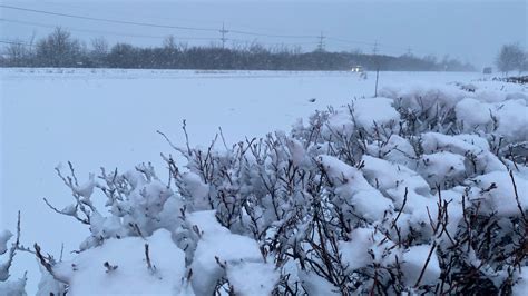 Illinois winter road conditions: Buses rerouted, crashes reported – NBC ...