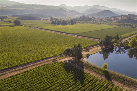 2021 Napa Valley Sauvignon Blanc Groth Vineyards And Winery