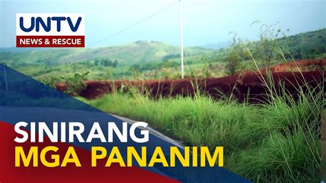 Umano Y Pininsalang Pananim Ng Mga Tauhan Ng Isang Mining Corp