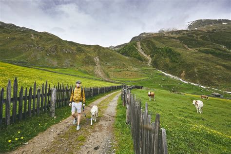 Sajam Seoskog Turizma Doma E Hrane Radinosti I Tradicionalnih Zanata