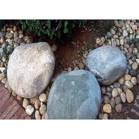 Polished Landscaping Pebble Stone At Rs Kg In Rajahmundry Id