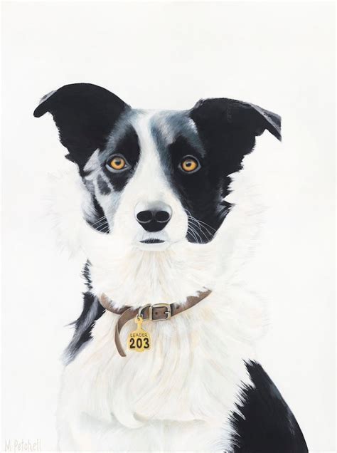 Farm Dog Art Print Buy Animal Fine Art Prints Nz Artist Painter