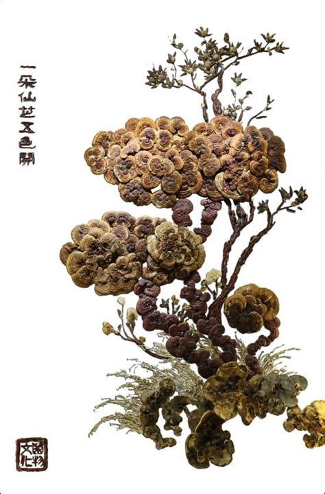 拼画：一朵仙芝五色开 甘肃省应用真菌工程实验室