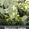 Falflor Greenery Garland Realistic Handmade Eucalyptus Leaves Vine Pcs