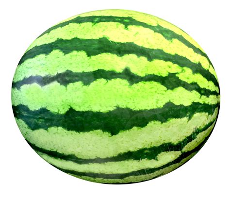 Realistic Easy Watermelon Drawing Drawing Is A Complex Skill Impossible