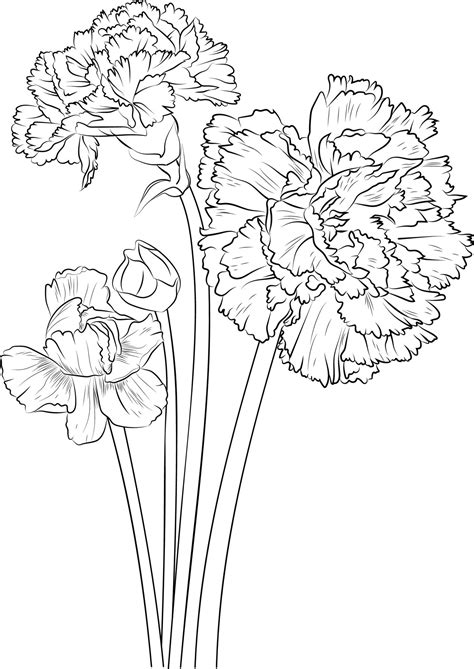 Carnation Coloring Pages