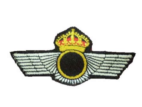 Roquisqui Tela, Airemilitar