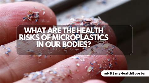 What Are The Health Risks Of Microplastics In Our Bodies Myhealthbooster