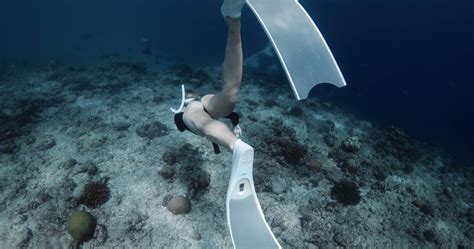 Woman swimming with tiger shark in tropical ocean. Sharks diving ...