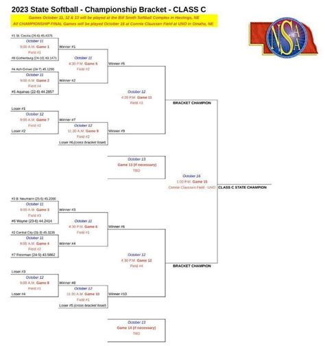 swede softball wins district gothenburg public schools