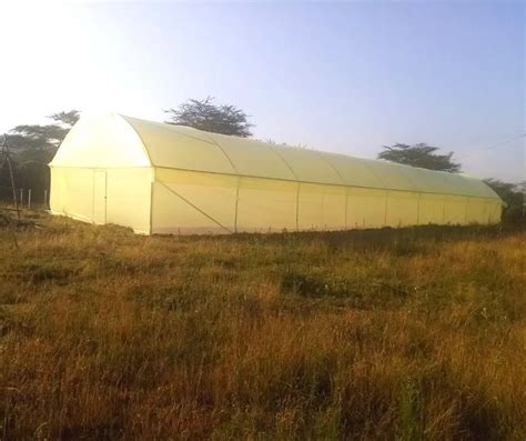 Metallic Greenhouse In Kenya Aqua Hub Kenya Ltd