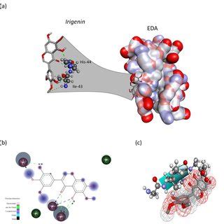 Figure S A The Top Binding Pose Obtained By Molecular Docking